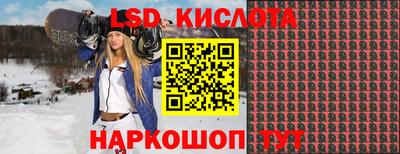 гашик Волжский
