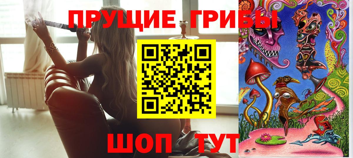 Галлюциногенные грибы Cubensis Родники