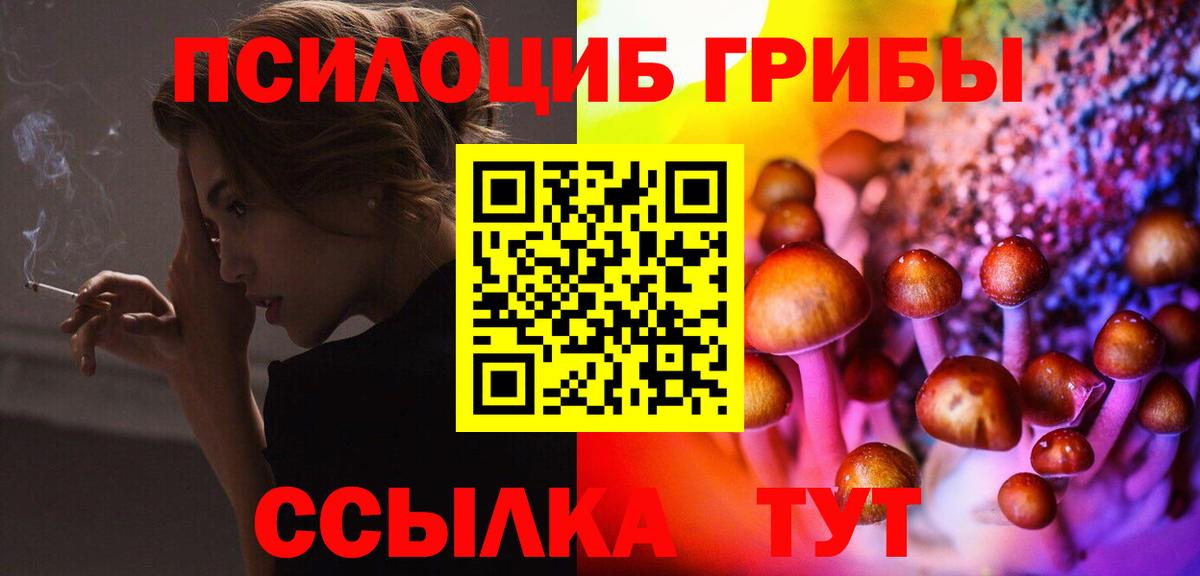 что такое наркотик  Вход с VPN  Родники  Галлюциногенные грибы прущие грибы  Псилоцибиновые грибы Psilocybe 